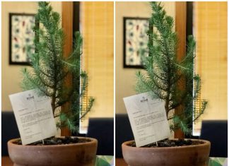 BOSİAD’ın ‘Çevreci Fidanları’