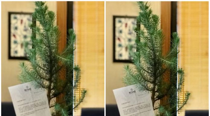 BOSİAD’ın ‘Çevreci Fidanları’